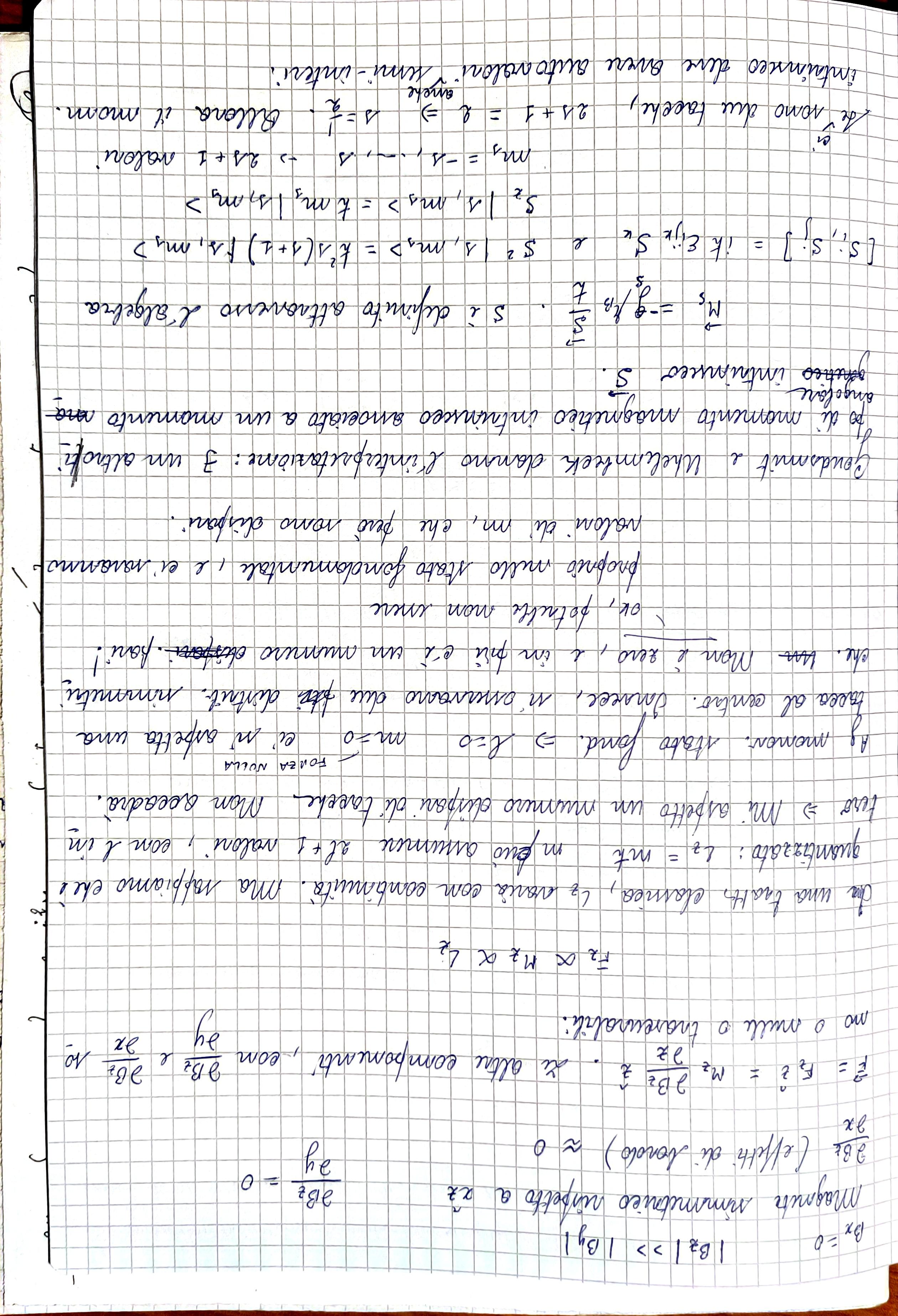 Pagina 217