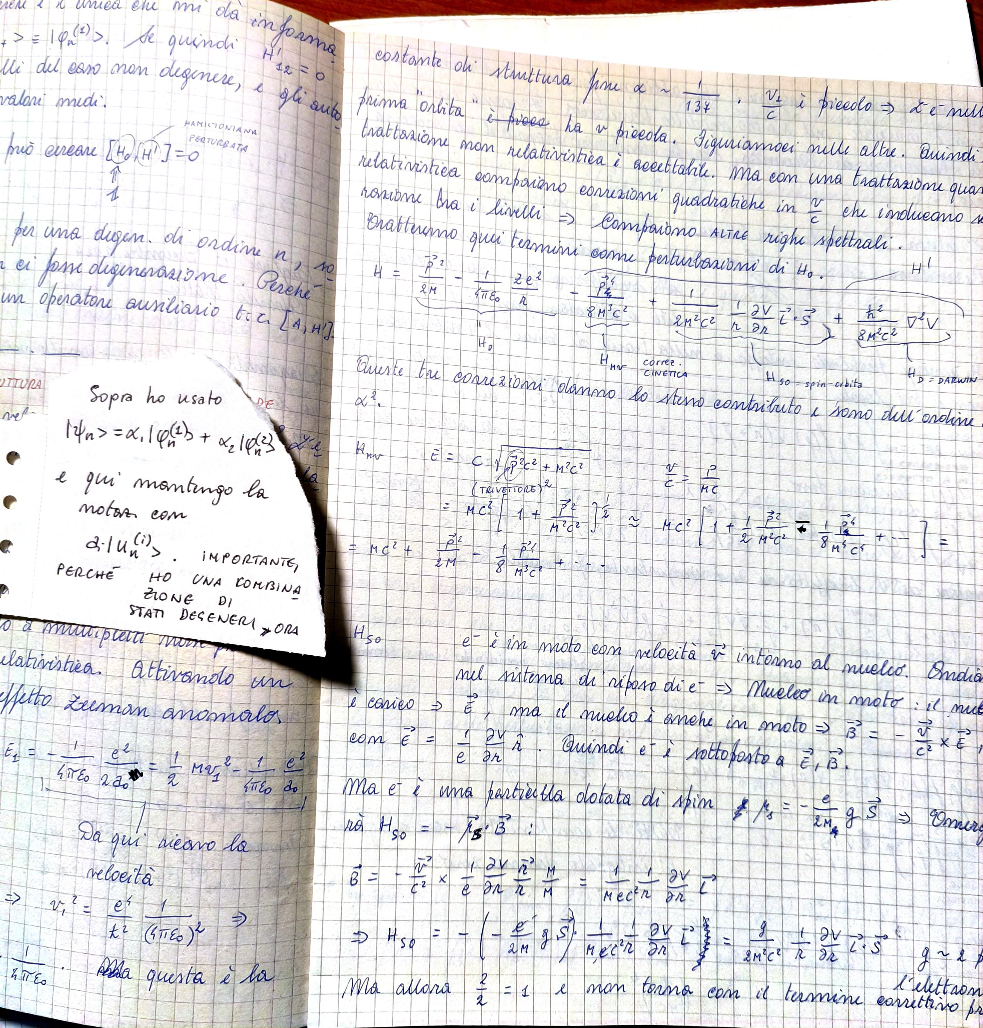 Pagina 242